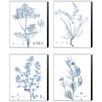 Framed 'Antique Botanical in Blue 4 Piece Canvas Print Set' border=