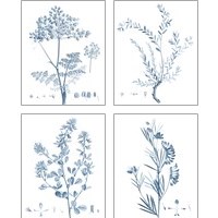 Framed 'Antique Botanical in Blue 4 Piece Art Print Set' border=