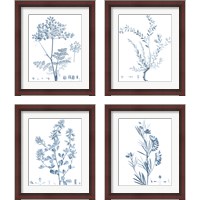 Framed 'Antique Botanical in Blue 4 Piece Framed Art Print Set' border=