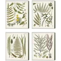 Framed 'Fanciful Ferns 4 Piece Canvas Print Set' border=