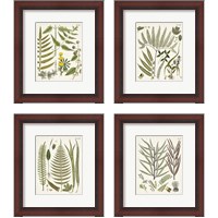 Framed Fanciful Ferns 4 Piece Framed Art Print Set