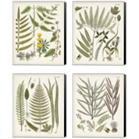 Framed Fanciful Ferns 4 Piece Canvas Print Set