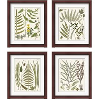 Framed 'Fanciful Ferns 4 Piece Framed Art Print Set' border=