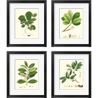 Framed 'Spring Green Foliage 4 Piece Framed Art Print Set' border=