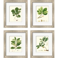 Framed 'Spring Green Foliage 4 Piece Framed Art Print Set' border=