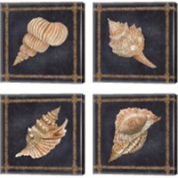 Framed 'Seashell on Navy 4 Piece Canvas Print Set' border=