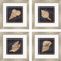 Framed 'Seashell on Navy 4 Piece Framed Art Print Set' border=