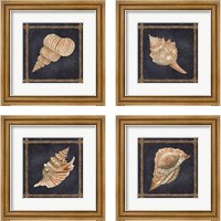 Framed Seashell on Navy 4 Piece Framed Art Print Set
