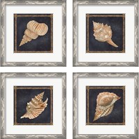 Framed 'Seashell on Navy 4 Piece Framed Art Print Set' border=