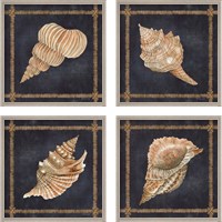 Framed 'Seashell on Navy 4 Piece Framed Art Print Set' border=