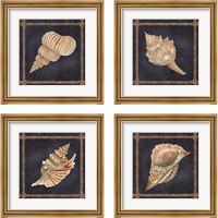 Framed 'Seashell on Navy 4 Piece Framed Art Print Set' border=