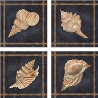 Framed 'Seashell on Navy 4 Piece Art Print Set' border=