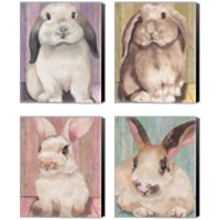 Framed 'Bunny  4 Piece Canvas Print Set' border=