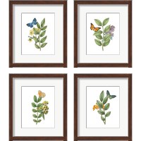 Framed 'Greenery Butterflies 4 Piece Framed Art Print Set' border=