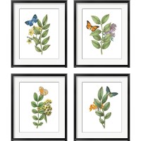 Framed 'Greenery Butterflies 4 Piece Framed Art Print Set' border=