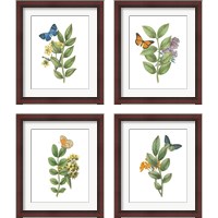 Framed 'Greenery Butterflies 4 Piece Framed Art Print Set' border=
