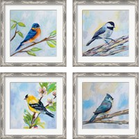 Framed 'Birds on Blue 4 Piece Framed Art Print Set' border=
