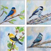 Framed Birds on Blue 4 Piece Art Print Set
