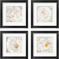 Framed 'Neutral Rose 4 Piece Framed Art Print Set' border=