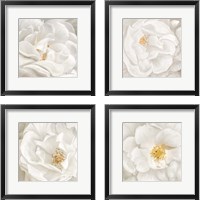 Framed Neutral Rose 4 Piece Framed Art Print Set