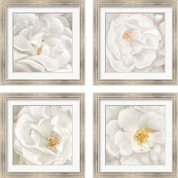 Framed Neutral Rose 4 Piece Framed Art Print Set