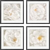 Framed Neutral Rose 4 Piece Framed Art Print Set