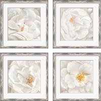 Framed 'Neutral Rose 4 Piece Framed Art Print Set' border=