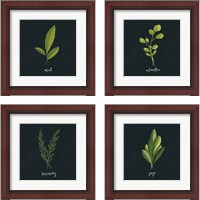 Framed 'Herbs 4 Piece Framed Art Print Set' border=