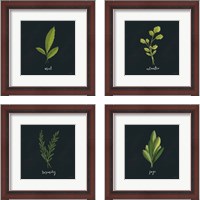 Framed 'Herbs 4 Piece Framed Art Print Set' border=