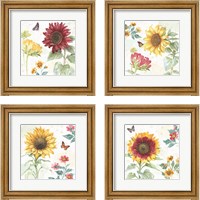 Framed 'Sunflower Splendor 4 Piece Framed Art Print Set' border=