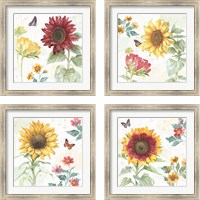 Framed 'Sunflower Splendor 4 Piece Framed Art Print Set' border=