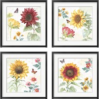 Framed 'Sunflower Splendor 4 Piece Framed Art Print Set' border=
