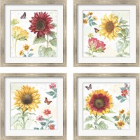 Framed Sunflower Splendor 4 Piece Framed Art Print Set