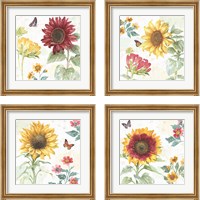 Framed 'Sunflower Splendor 4 Piece Framed Art Print Set' border=