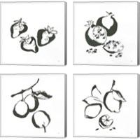 Framed 'Black & White Fruit 4 Piece Canvas Print Set' border=