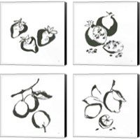 Framed 'Black & White Fruit 4 Piece Canvas Print Set' border=