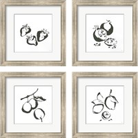 Framed Black & White Fruit 4 Piece Framed Art Print Set