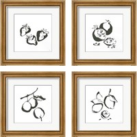 Framed 'Black & White Fruit 4 Piece Framed Art Print Set' border=