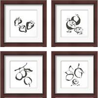 Framed Black & White Fruit 4 Piece Framed Art Print Set