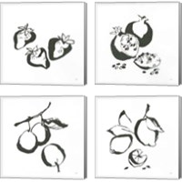 Framed Black & White Fruit 4 Piece Canvas Print Set