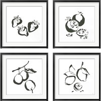 Framed 'Black & White Fruit 4 Piece Framed Art Print Set' border=