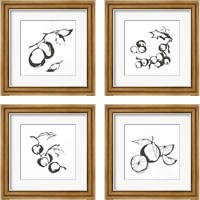 Framed Black & White Fruit 4 Piece Framed Art Print Set