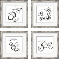 Framed 'Black & White Fruit 4 Piece Framed Art Print Set' border=