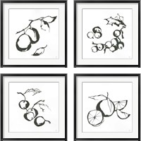 Framed 'Black & White Fruit 4 Piece Framed Art Print Set' border=