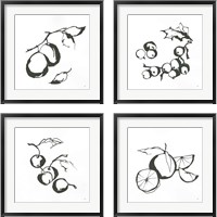 Framed Black & White Fruit 4 Piece Framed Art Print Set