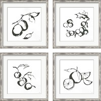 Framed 'Black & White Fruit 4 Piece Framed Art Print Set' border=