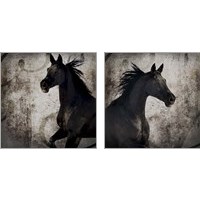 Framed 'Gypsy Horse 2 Piece Art Print Set' border=