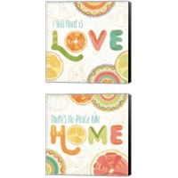 Framed 'Citrus Splash 2 Piece Canvas Print Set' border=