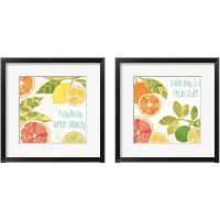 Framed 'Citrus Splash 2 Piece Framed Art Print Set' border=