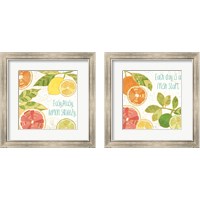 Framed 'Citrus Splash 2 Piece Framed Art Print Set' border=